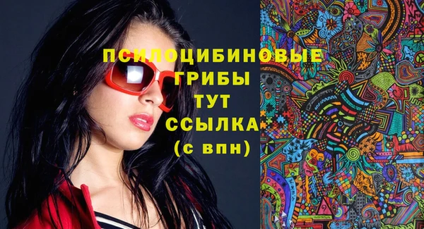 apvp Лихославль