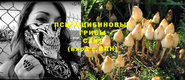 синтетический гашиш Ладушкин