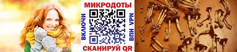 Галлюциногенные грибы прущие грибы  где продают наркотики  маркетплейс официальный сайт  Кировск 