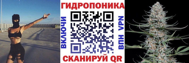 МАРИХУАНА THC 21% Кировск